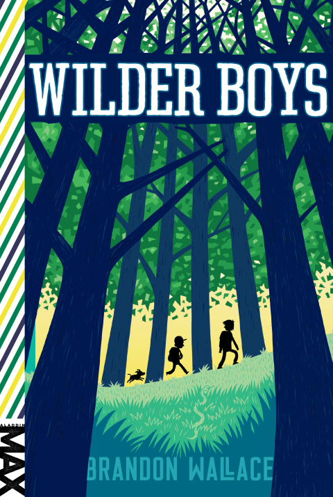 Cover image for book Wilder Boys