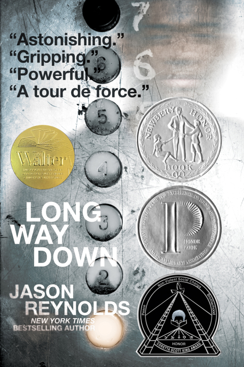 Cover image for book Long Way Down