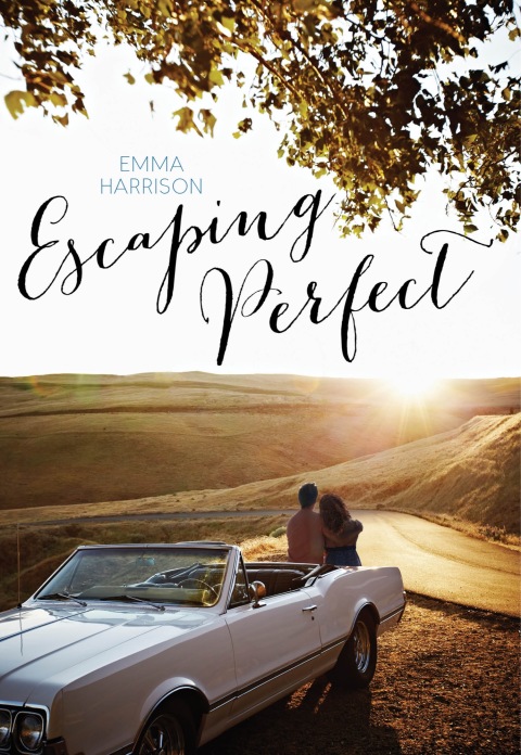 Cover image for book Escaping Perfect