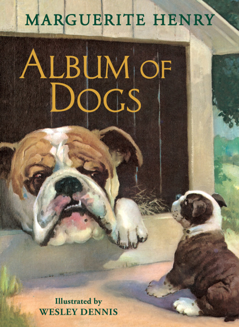 Cover image for book Album of Dogs