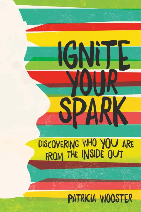 Cover image for book Ignite Your Spark