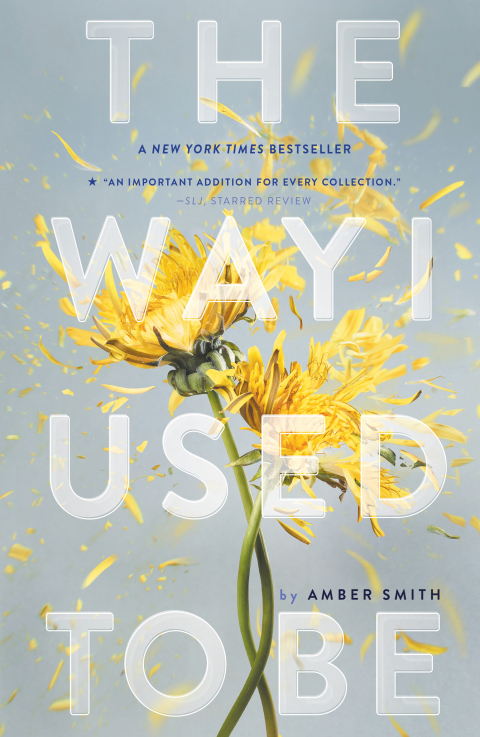 Cover image for book The Way I Used to Be