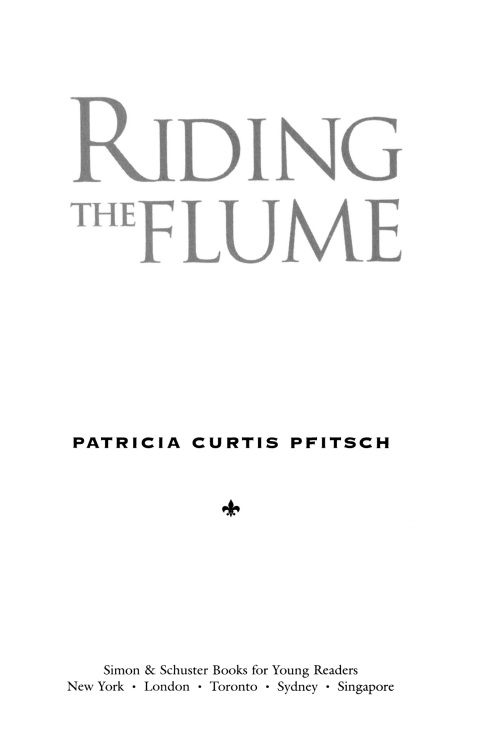 Cover image for book Riding the Flume