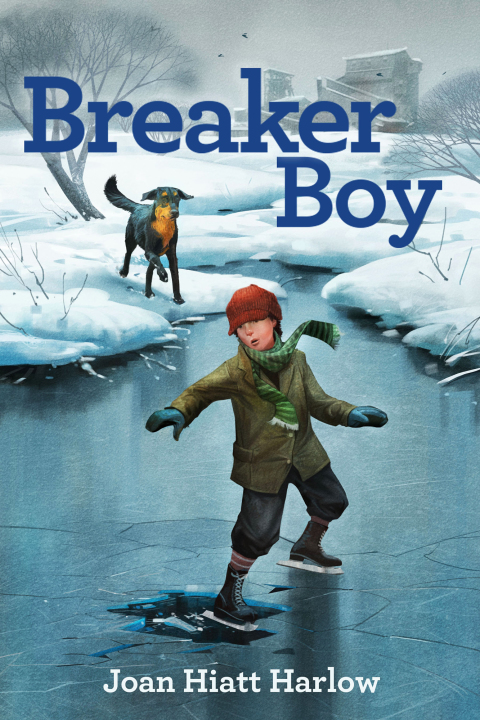 Cover image for book Breaker Boy