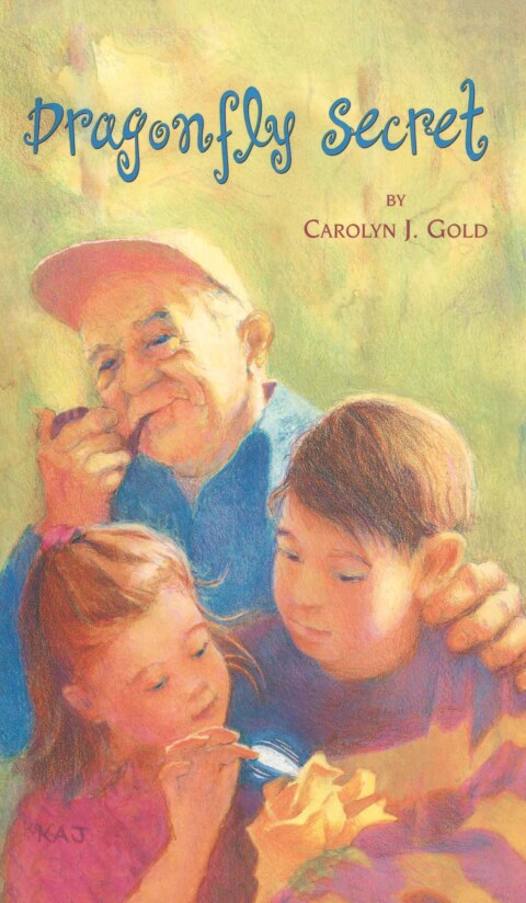 Cover image for book Dragonfly Secret