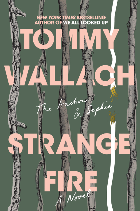 Cover image for book Strange Fire
