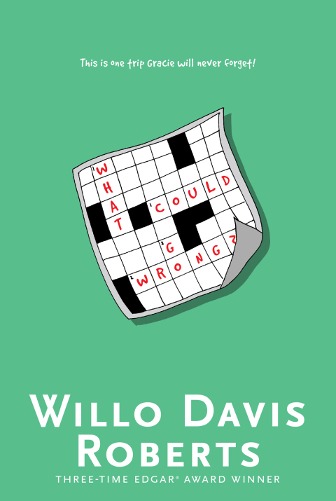 Cover image for book What Could Go Wrong?