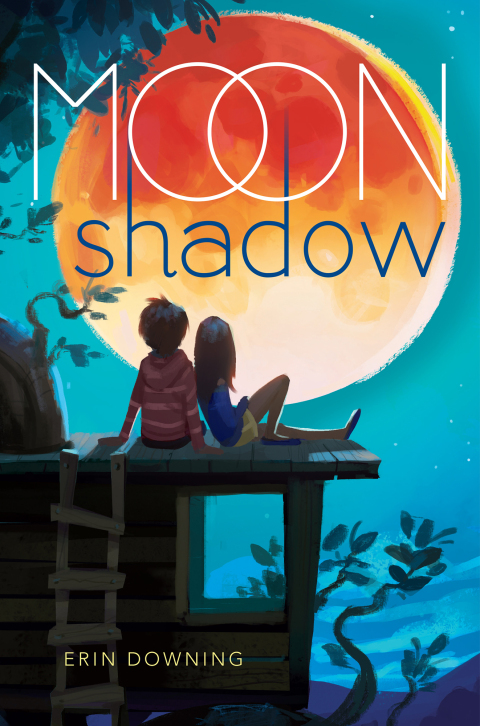 Cover image for book Moon Shadow
