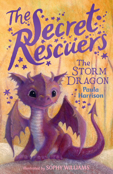 Cover image for book The Storm Dragon