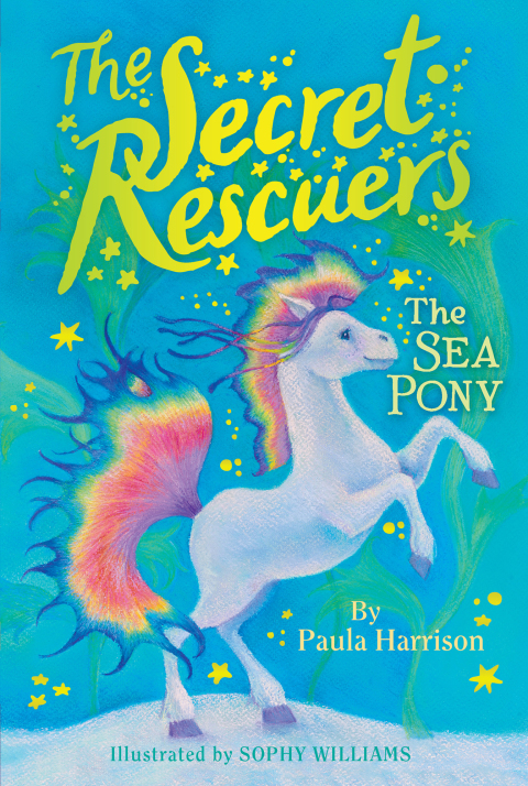 Cover image for book The Sea Pony