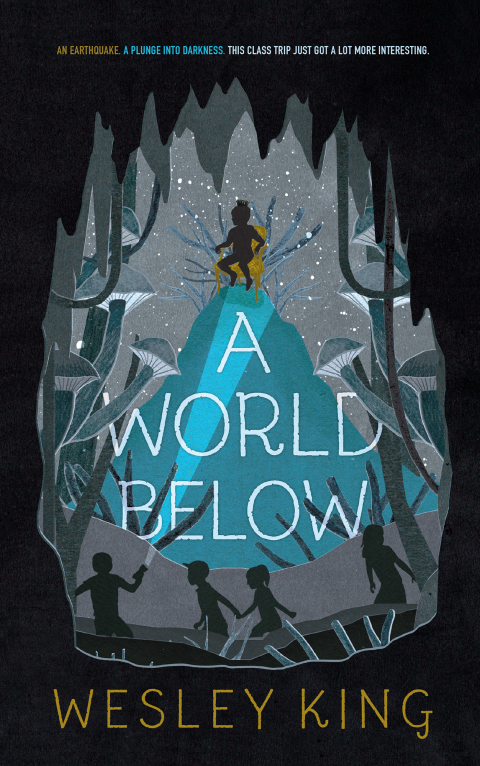 Cover image for book A World Below