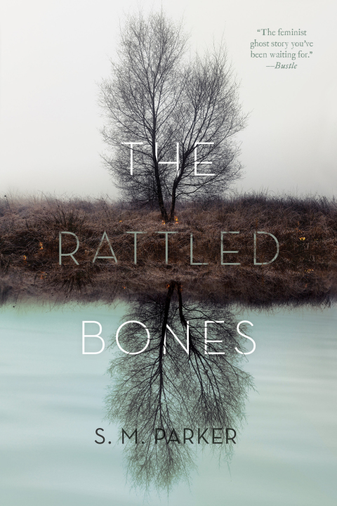 Cover image for book The Rattled Bones
