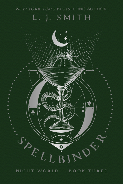 Cover image for book Spellbinder
