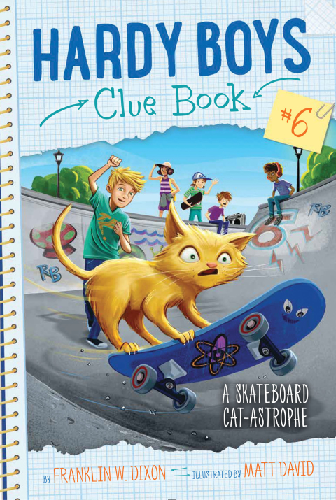 Cover image for book A Skateboard Cat-astrophe
