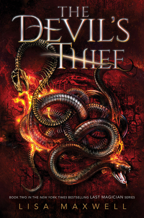 Cover image for book The Devil's Thief
