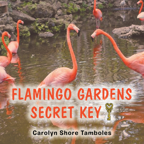 Cover image for book Flamingo Gardens Secret  Key