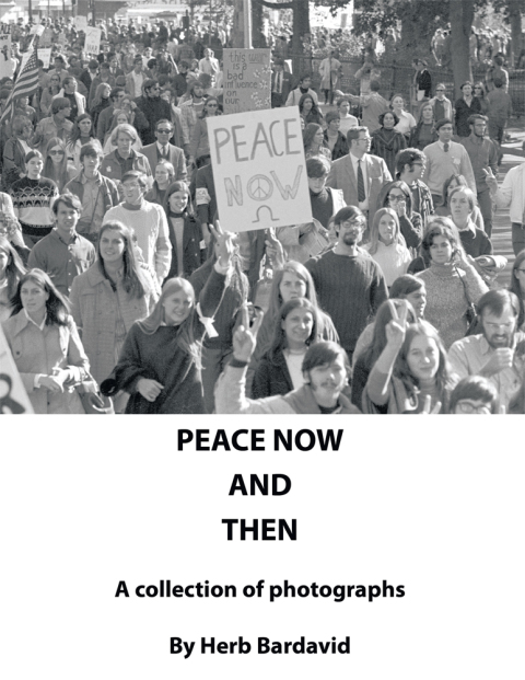 Cover image for book Peace Now and Then