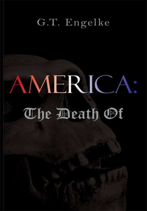 Cover image for book America