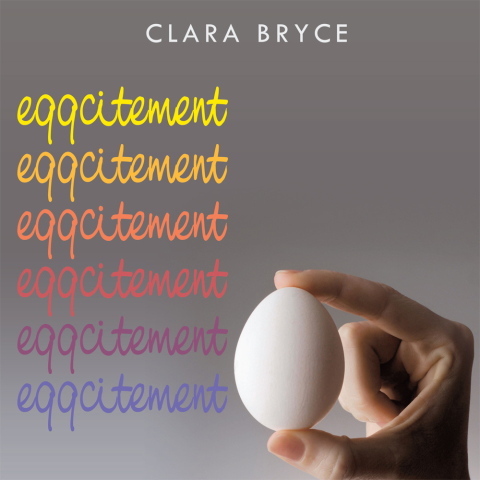 Cover image for book Eggcitement