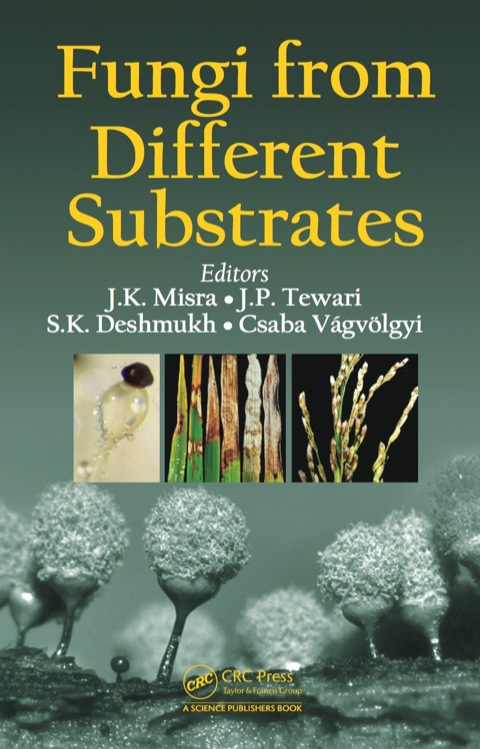 Cover image for book Fungi From Different Substrates