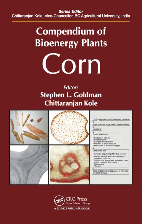 Cover image for book Compendium of Bioenergy Plants