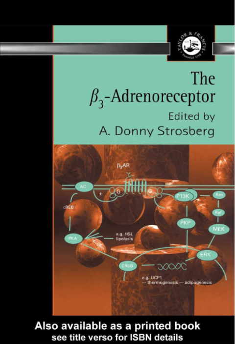 Cover image for book β3 Adrenoreceptor