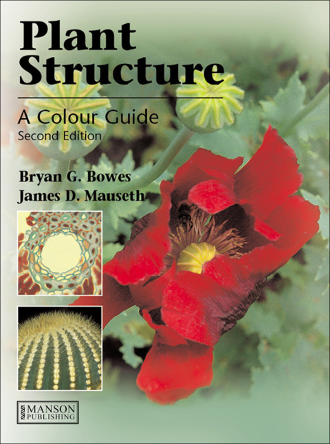 Cover image for book Plant Structure