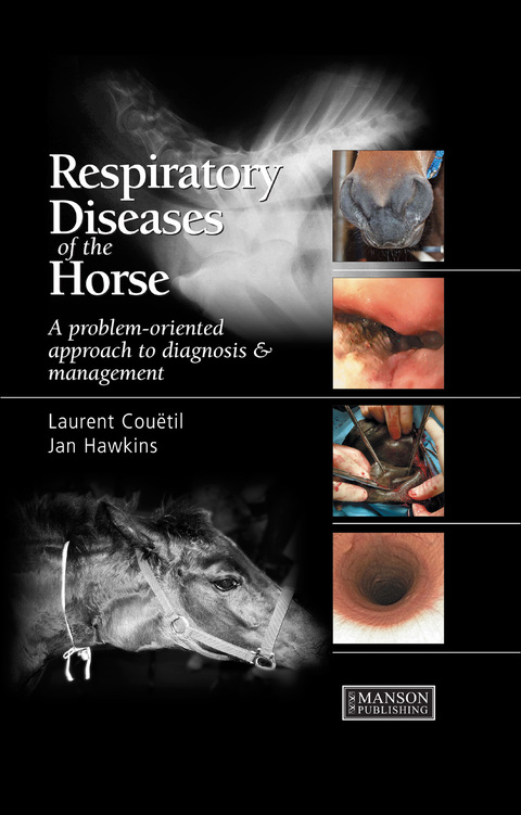 Cover image for book Respiratory Diseases of the Horse