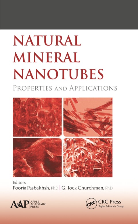 Cover image for book Natural Mineral Nanotubes