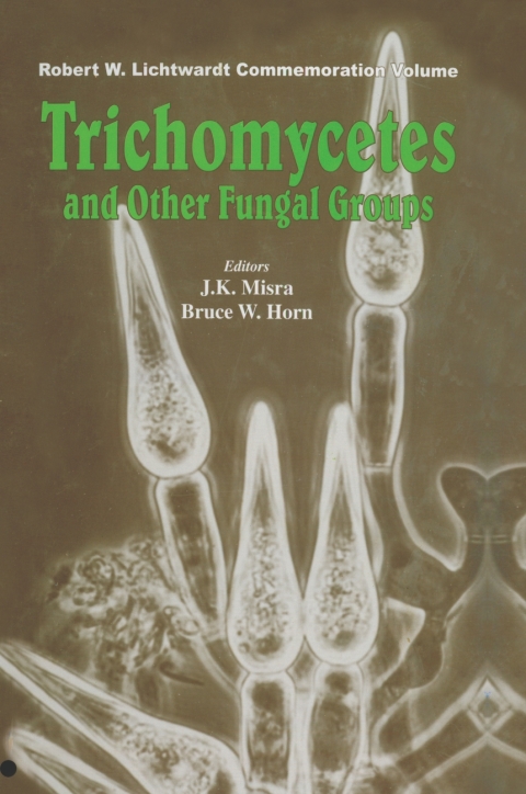 Cover image for book Trichomycetes and Other Fungal Groups