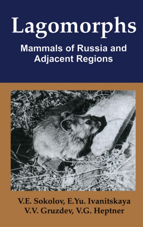 Lagomorphs 