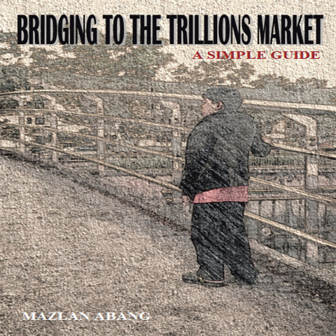 Cover image for book Bridging to the Trillions Market