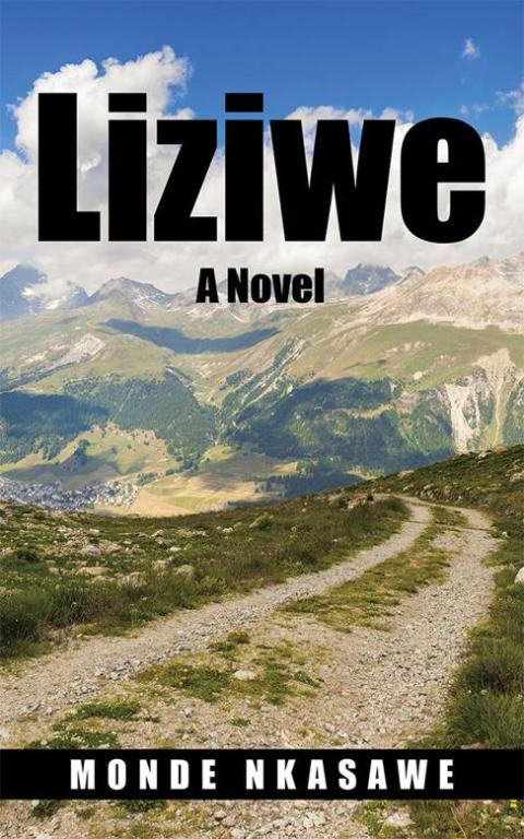 Cover image for book Liziwe