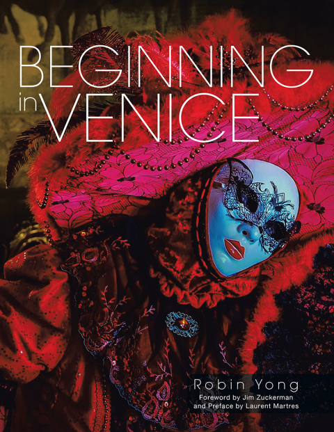 Cover image for book Beginning in Venice