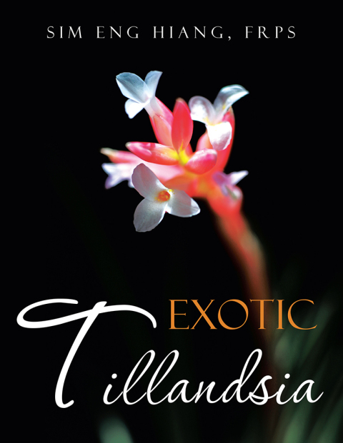 Cover image for book Exotic Tillandsia