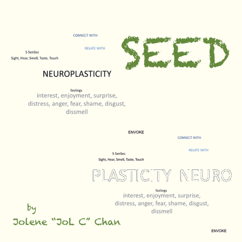 Cover image for book Seed