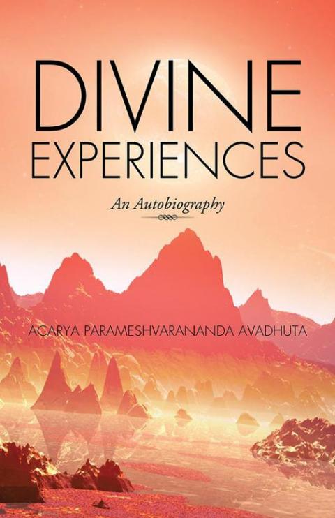 Cover image for book Divine Experiences