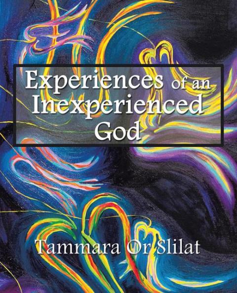 Cover image for book Experiences of an Inexperienced God