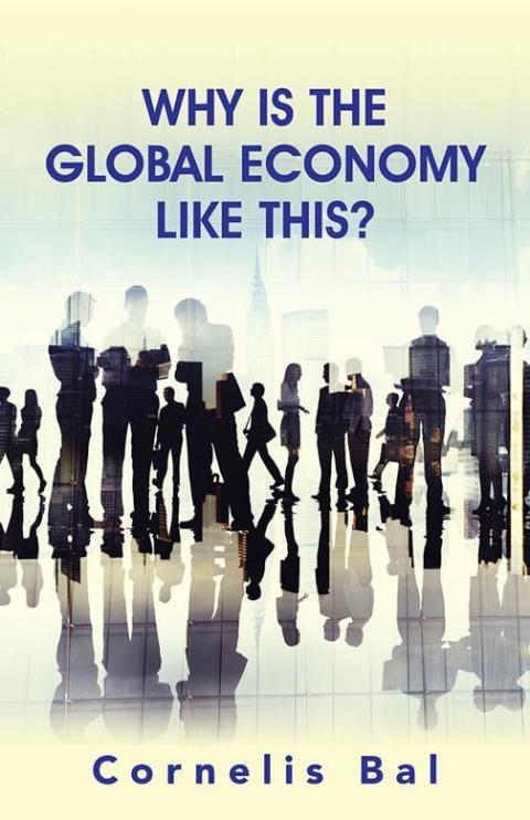 Cover image for book Why Is the Global Economy Like This?