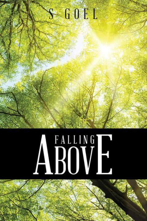Cover image for book Falling Above