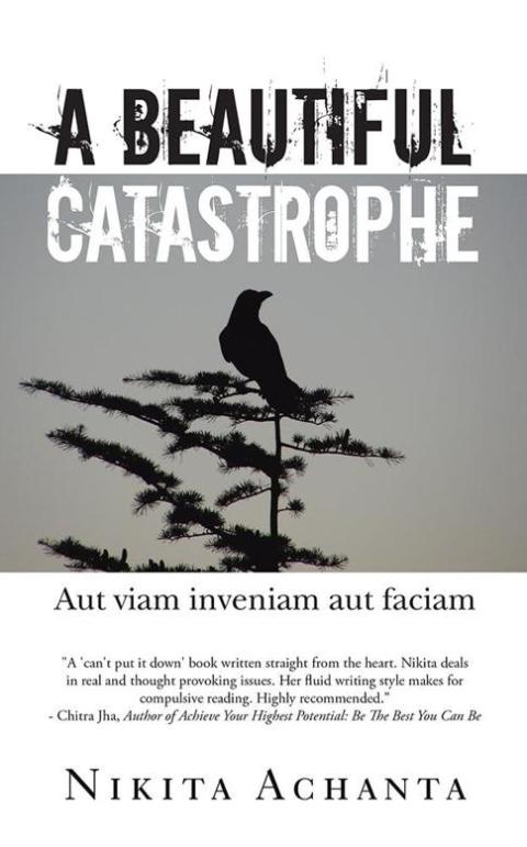 Cover image for book A Beautiful Catastrophe