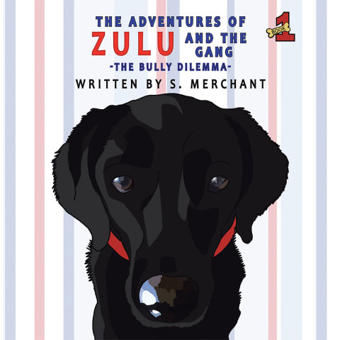 Cover image for book The Adventures of Zulu & the Gang