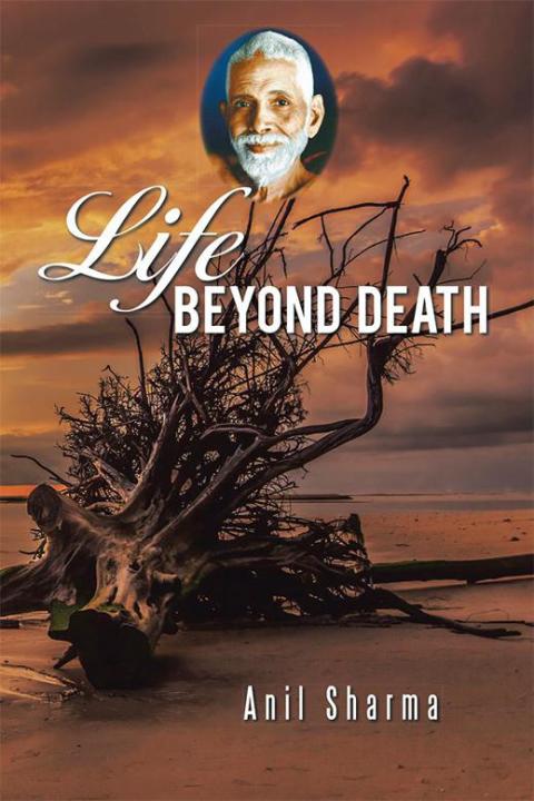 Cover image for book Life Beyond Death