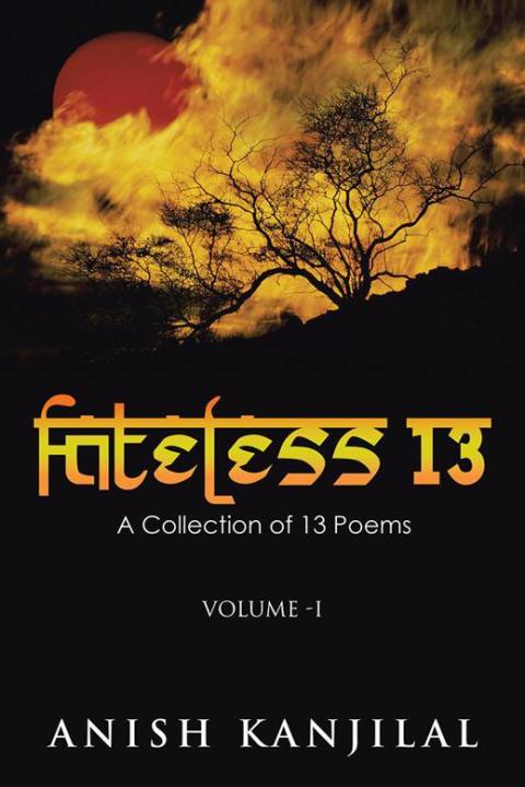 Cover image for book Fateless 13