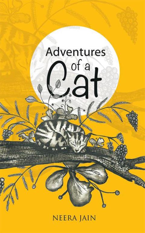 Cover image for book Adventures of a Cat