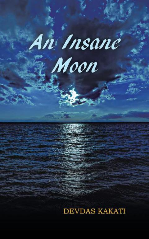 Cover image for book An Insane Moon
