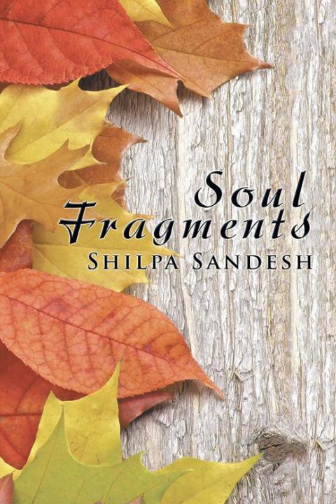 Cover image for book Soul Fragments