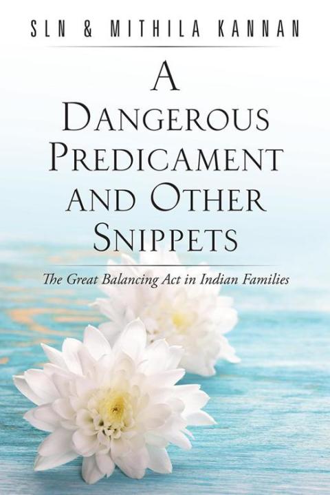 Cover image for book A Dangerous Predicament and Other Snippets