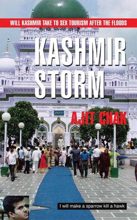 Cover image for book Kashmir Storm