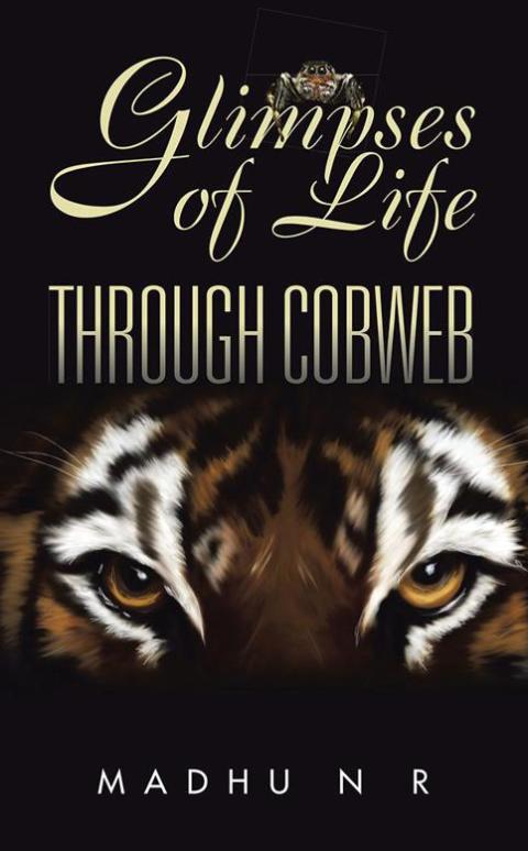 Cover image for book Glimpses of Life Through Cobweb